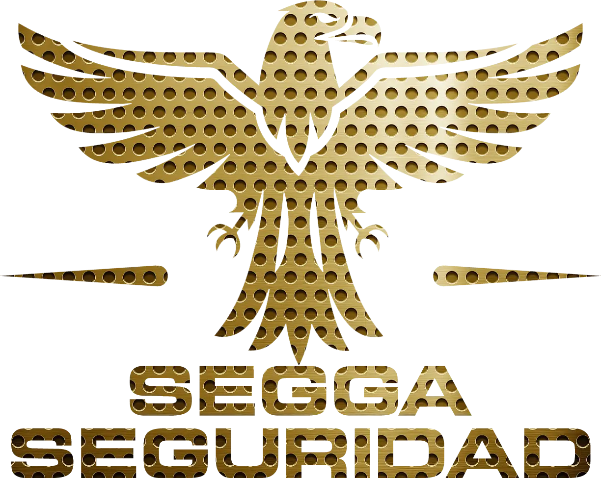 Seguridad privada para empresas en Santiago